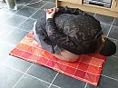 Voor straf!!, foto 4000x3000, 6 reacties, 46 stemmen