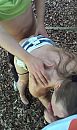 Vrouw aan het spit, foto 419x700, 8 reacties, 63 stemmen