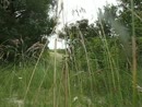 Wandeling, film 00:00:00, 0 reacties, 9 stemmen