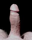Wat is je mening?, foto 1536x1875, 0 reacties, 2 stemmen