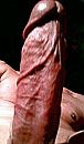YEAH!!, foto 256x437, 3 reacties, 2 stemmen