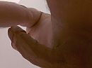 Zin!, foto 1280x960, 0 reacties, 0 stemmen