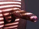 Zonlicht, foto 1251x939, 0 reacties, 2 stemmen