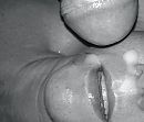 ....., foto 1380x1189, 8 reacties, 35 stemmen