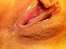 ., foto 640x480, 7 reacties, 27 stemmen