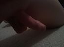 ., foto 2560x1920, 0 reacties, 0 stemmen