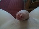 ., foto 2560x1920, 0 reacties, 2 stemmen