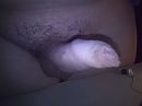 ., foto 2560x1920, 1 reacties, 2 stemmen