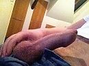 ., foto 640x480, 4 reacties, 8 stemmen