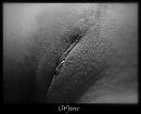 ..., foto 1070x871, 7 reacties, 28 stemmen