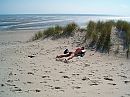 am strad, foto 2048x1536, 1 reacties, 11 stemmen
