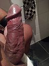 ben ik weer, foto 2448x3264, 1 reacties, 2 stemmen