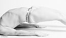 body bow, foto 650x379, 1 reacties, 9 stemmen