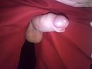broek kapor lol, foto 2560x1920, 0 reacties, 1 stemmen