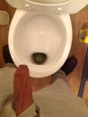 Plasje op de.wc, film 00:00:40, 0 reacties, 6 stemmen