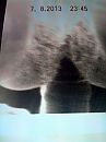 diep, foto 1944x2592, 0 reacties, 0 stemmen