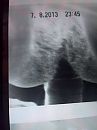 diep, foto 1944x2592, 0 reacties, 1 stemmen
