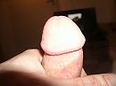 eikel, foto 2048x1536, 0 reacties, 2 stemmen