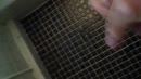 even de druk van de ketel..., film 00:00:24, 0 reacties, 3 stemmen
