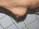 ff drogen, foto 3648x2736, 1 reacties, 18 stemmen