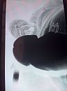 gaaf?, foto 1944x2592, 0 reacties, 0 stemmen