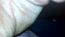 geil, film 00:00:01, 0 reacties, 6 stemmen