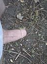 geil, foto 1536x2048, 0 reacties, 0 stemmen
