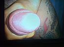 geile eikel, foto 2592x1944, 0 reacties, 0 stemmen