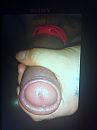 gezocht, foto 1944x2592, 0 reacties, 1 stemmen