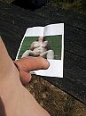 girllover, foto 450x600, 0 reacties, 8 stemmen
