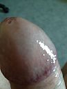 glimt al van geiligheid, foto 2448x3264, 2 reacties, 11 stemmen