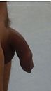 hangend en verlangend, foto 1653x2938, 5 reacties, 11 stemmen