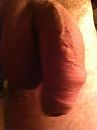 hangend, foto 300x402, 3 reacties, 8 stemmen