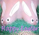 happy easter, foto 377x334, 4 reacties, 17 stemmen