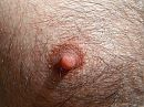 hard, foto 500x375, 1 reacties, 4 stemmen