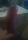 hard, foto 1811x2560, 0 reacties, 3 stemmen