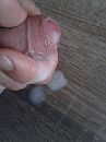 heb zin !!, foto 1920x2560, 0 reacties, 2 stemmen
