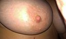 hmm, foto 800x479, 1 reacties, 4 stemmen