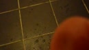 ik, film 00:00:01, 0 reacties, 2 stemmen