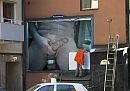in de picture, foto 700x496, 0 reacties, 0 stemmen