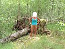 in het bos, foto 940x705, 5 reacties, 49 stemmen