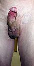 in, foto 957x1827, 0 reacties, 3 stemmen