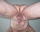 it's me, foto 473x377, 0 reacties, 2 stemmen