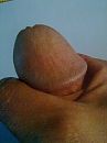 kopje, foto 900x1200, 0 reacties, 1 stemmen