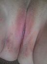 kutje, foto 720x960, 2 reacties, 6 stemmen