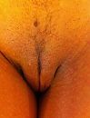 kutje, foto 397x520, 24 reacties, 99 stemmen