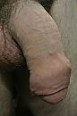 laat maar hangen, foto 2592x3872, 1 reacties, 1 stemmen