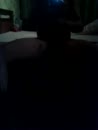 lekker geil., film 00:00:00, 1 reacties, 8 stemmen