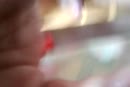 lekker spelen, film 00:00:01, 0 reacties, 3 stemmen