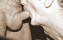 lekker, foto 2059x1323, 2 reacties, 13 stemmen